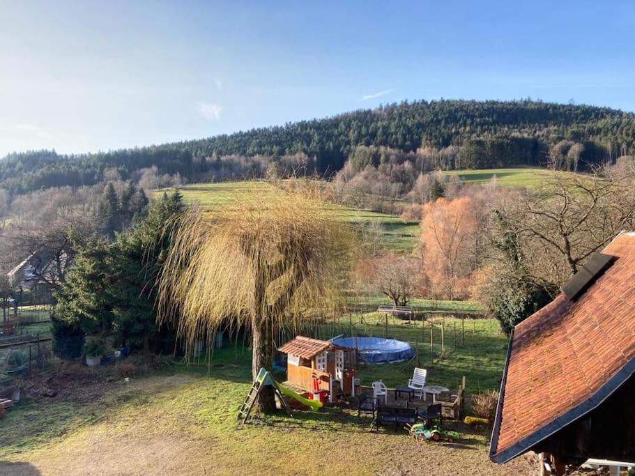 Logement Chaleureux, Vallee De Ville Steige 外观 照片