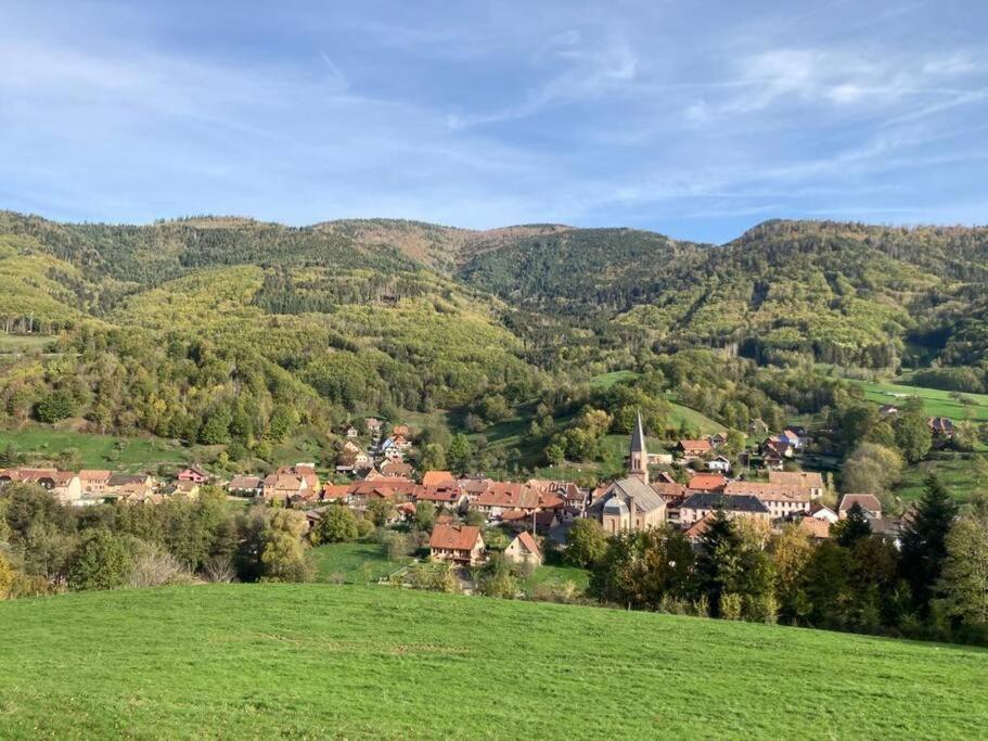 Logement Chaleureux, Vallee De Ville Steige 外观 照片